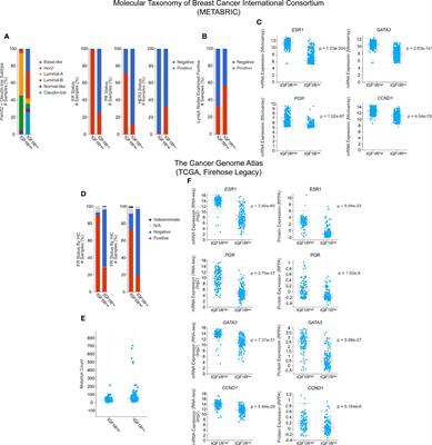 Activation Versus Inhibition of IGF1R: A Dual Role in Breast Tumorigenesis